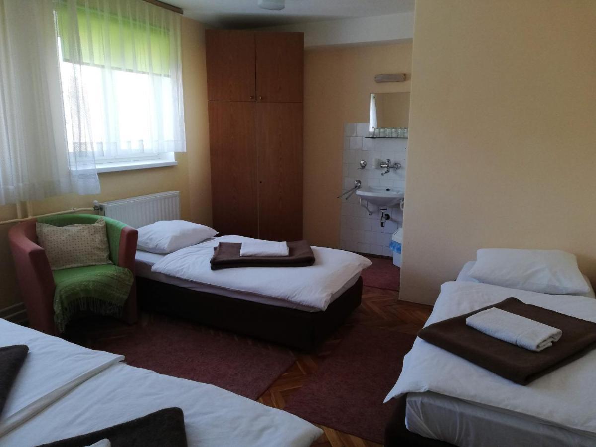 Guesthouse Arnika Fužine エクステリア 写真