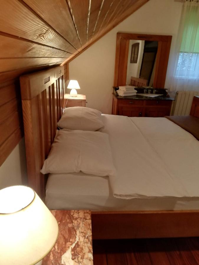 Guesthouse Arnika Fužine エクステリア 写真